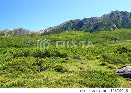 北阿爾卑斯山周圍的雲山山脈黑龍江和赤城山遙遠的日本最後的秘密步行 北阿爾卑斯山周圍的雲山山脈黑龍江和赤城山遙遠的日本最後的秘密步行 42859048