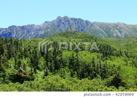 北阿爾卑斯山周圍的Unzeni山阿拉斯加花園山 42859069