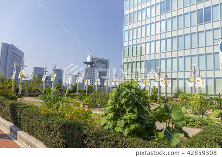 大阪駐地天空的城市城市 42859308