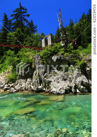 Summer coolness's Kurobe River Okuno corridor Yakushizawa hut and suspension bridge 42859459