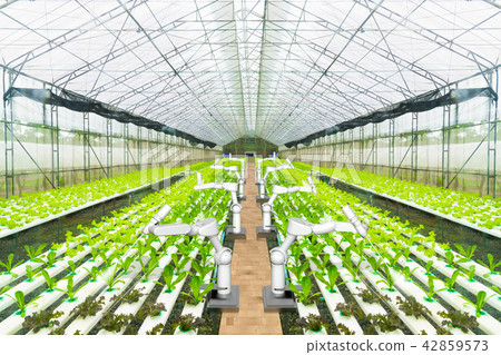 Agricultural robot water spraying or detect weed Agricultural robot water spraying or detect weed 42859573