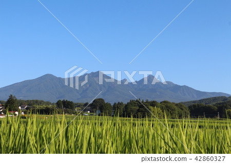 Summer mountain of Yatsugatake Summer mountain of Yatsugatake 42860327