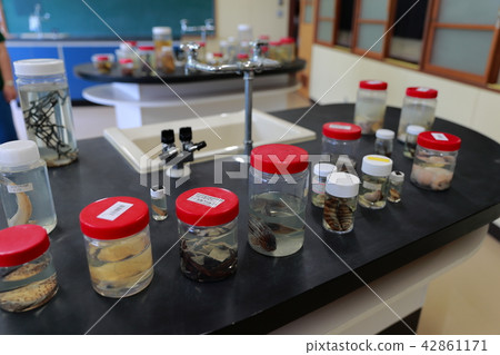 Science room 42861171