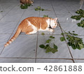 The cat is eating the tree roots. 42861888