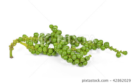 Green pepper isolated on white background. Green pepper isolated on white background. 42862029