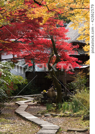 京都Naoyunan 42862579