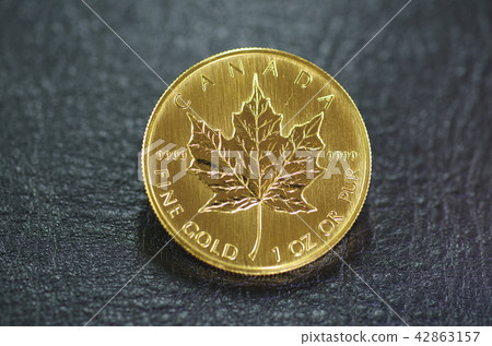 楓葉金幣 楓葉金幣 42863157