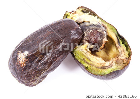 Old avocado with mold on white background Old avocado with mold on white background 42863160