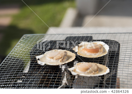 烤扇貝燒烤 烤扇貝燒烤 42864326