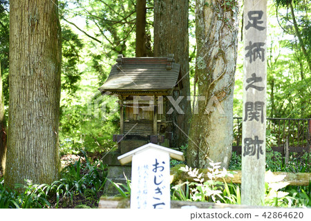 Atsushi Ashikura Atsushi Ashikura 42864620