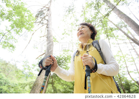 Senior Travel Senior Travel 42864628