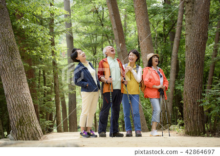 Senior Travel 42864697