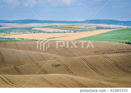 Moravian Tuscany Kyjov 42865335