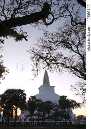 Ruvanvelisaya Anuradhapura Sri Lanka 42866143