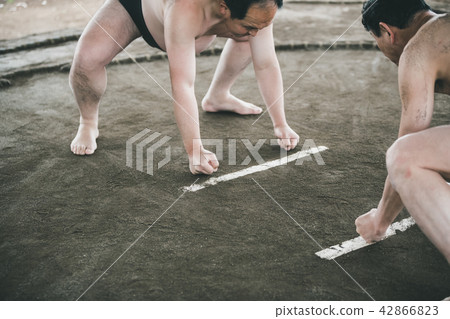 相撲 隔間 分界線 42866823