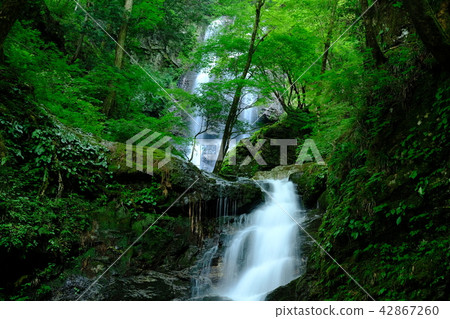 Domon Falls (Kawakami Village, Yoshino-gun, Nara Prefecture) Domon Falls (Kawakami Village, Yoshino-gun, Nara Prefecture) 42867260