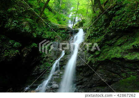 Domon Falls (Kawakami Village, Yoshino-gun, Nara Prefecture) Domon Falls (Kawakami Village, Yoshino-gun, Nara Prefecture) 42867262