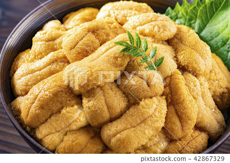 Delicious sea urchin of Hokkaido Delicious sea urchin of Hokkaido 42867329