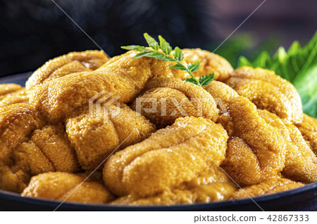 Delicious sea urchin of Hokkaido 42867333
