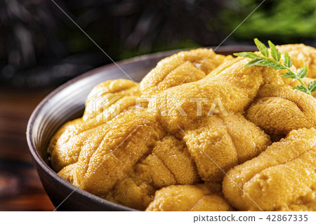 Delicious sea urchin of Hokkaido 42867335