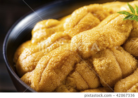 北海道的可口海膽 42867336