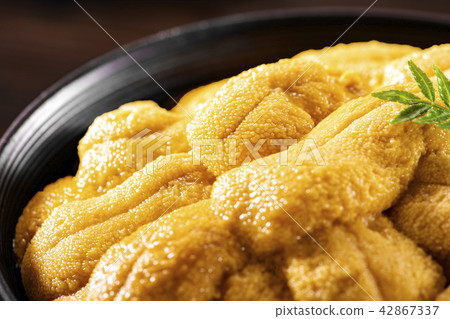 Delicious sea urchin of Hokkaido Delicious sea urchin of Hokkaido 42867337