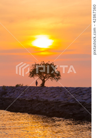 Sun setting at a pier of Pataya, Thailand 42867360