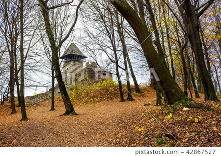 medieval fortress in autumn leafless forest 42867527