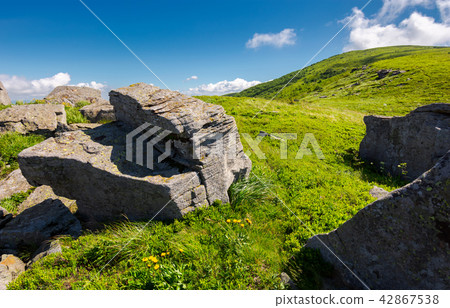 grassy hill side with boulders grassy hill side with boulders 42867538