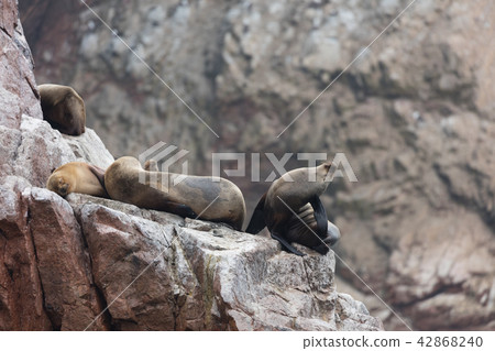 cliff, america, american 42868240
