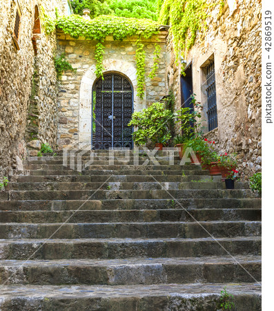 Stone steps to the door of the old house Stone steps to the door of the old house 42869519
