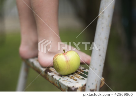 Children's bare feet on the ladder. Close-up Children's bare feet on the ladder. Close-up 42869860