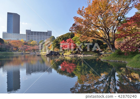 小石川後樂園 小石川後樂園 42870240