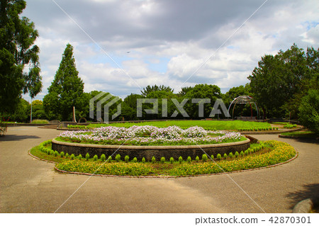 Kyu-ji Temple Green Park / North District / Flower Plaza / Osaka Prefecture Yao City Nishikuwaji 42870301
