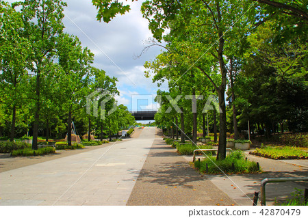 Kyu-ji Temple綠地公園/中區/近中央廣場/大阪縣Yao shi Nishikuji 42870479