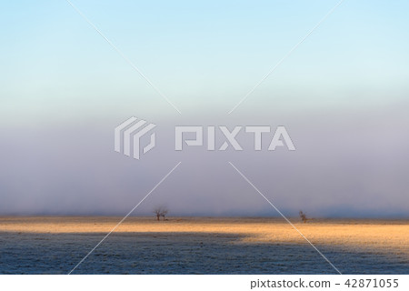 Morning fogged plateau USA · California Morning fogged plateau USA · California 42871055