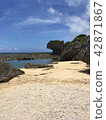 Sand flower 42871867
