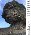 Coastal megalith 42871868