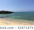 The beach 42871874
