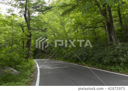 長野縣上高地/松本市的道路 長野縣上高地/松本市的道路 42872973