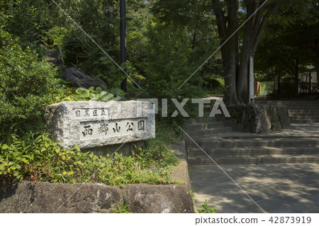 Meguro-ku Saigo山公園入口 42873919