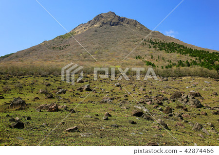 大分縣春天的御府山腳岩區 42874466