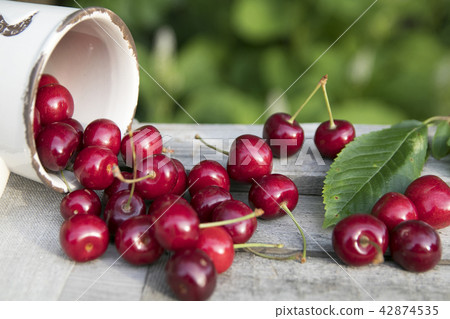 Fresh sweet cherries bowl with leaves Fresh sweet cherries bowl with leaves 42874535