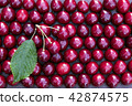 Fresh sweet cherries bowl with leaves 42874575