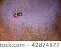 Fresh sweet cherries bowl on grunge rust background 42874577