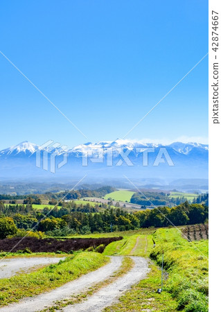 Biei and Furano tour 42874667