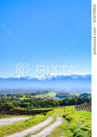 美瑛和富良野之旅 美瑛和富良野之旅 42874668
