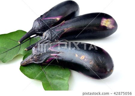 Thousands of the eggplants 42875056