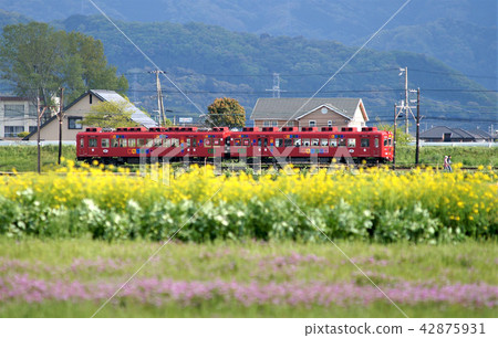 春天風景 春天風景 42875931