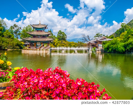 Black Dragon Pool and Moon Embracing Pavilion on sunny day, Lijiang, Yunnan Province, China Black Dragon Pool and Moon Embracing Pavilion on sunny day, Lijiang, Yunnan Province, China 42877803
